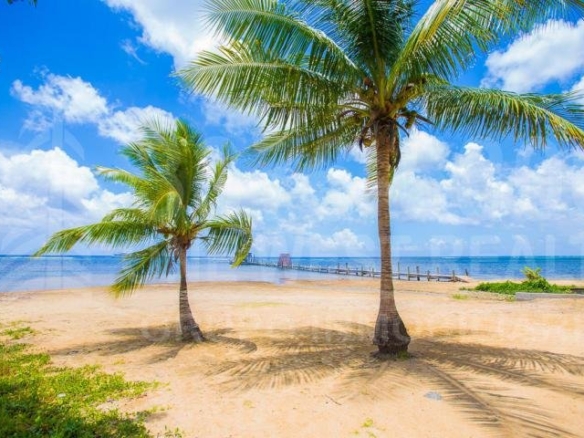 Terrenos for sale in Roatán