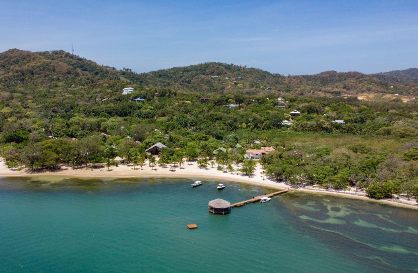 Tropical coastal scenery in Palmetto Bay Roatan Honduras